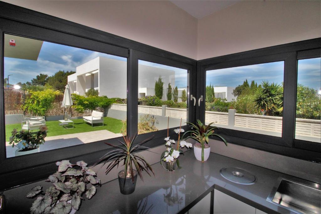 casa moderna mirando el patio desde la cocina de dia